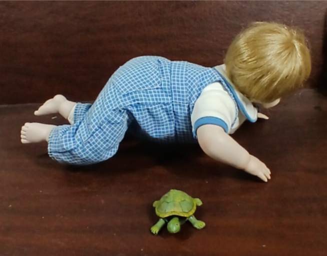 Haunted Doll Robert and His turtle - Died in a Fire with his Family at 8