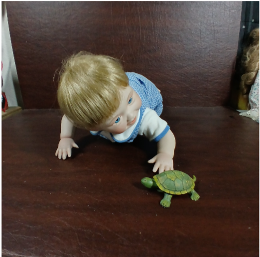 Haunted Doll Robert and His turtle - Died in a Fire with his Family at 8